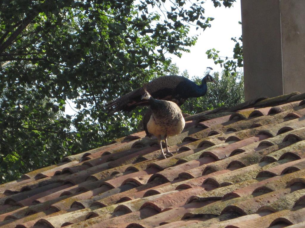 Pensjonat Casa Horta Aviá Zewnętrze zdjęcie