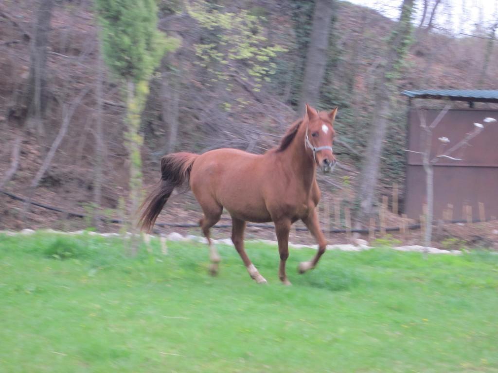 Pensjonat Casa Horta Aviá Zewnętrze zdjęcie